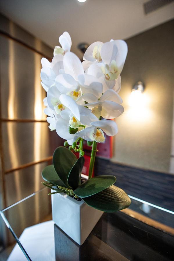 Solita Soho Hotel Нью-Йорк Екстер'єр фото