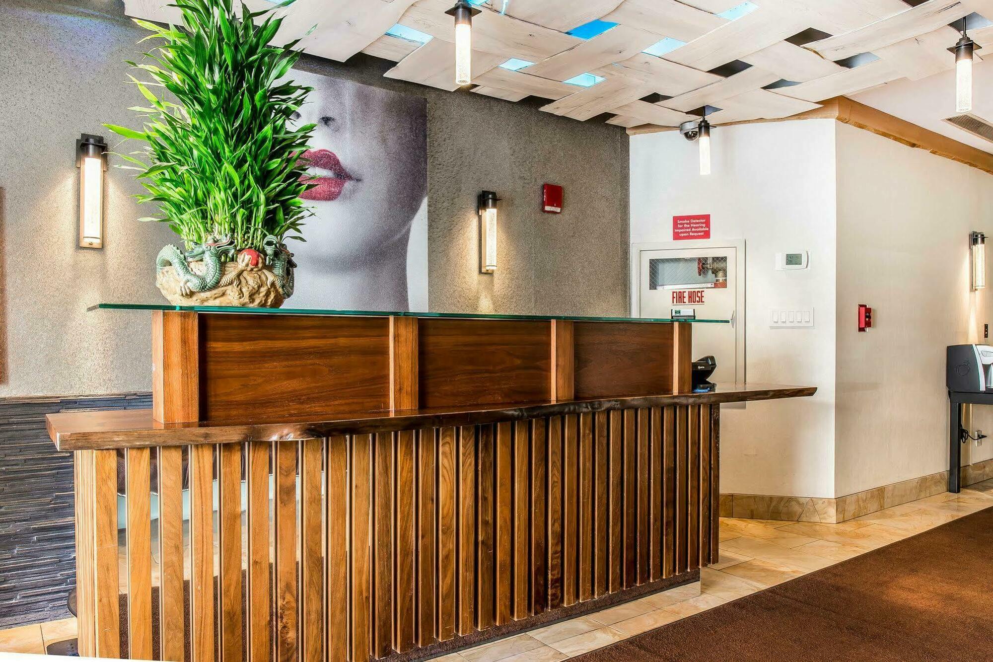 Solita Soho Hotel Нью-Йорк Екстер'єр фото